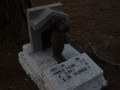 DSC 0739