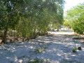 DSC 0480