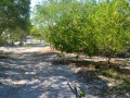 DSC 0481