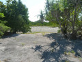 DSC 0485