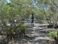DSC 0490